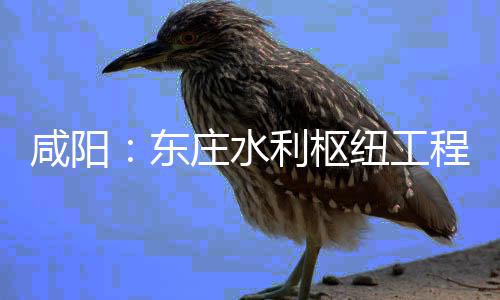 纽工年底面建利枢力全咸阳程建成将全庄水东设火开，