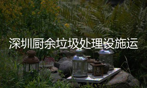 管理规范运行垃圾厨余处理解读深圳设施