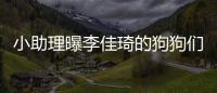 小助理曝李佳琦的狗狗们去海南度假 都是坐的往返包机