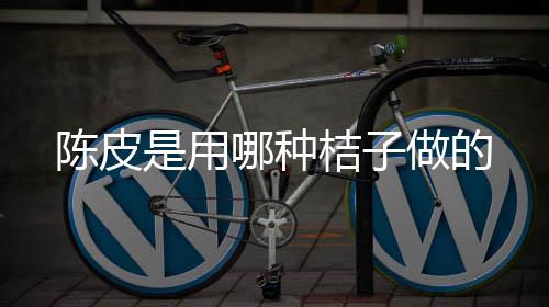 哪种陈皮桔子做的是用