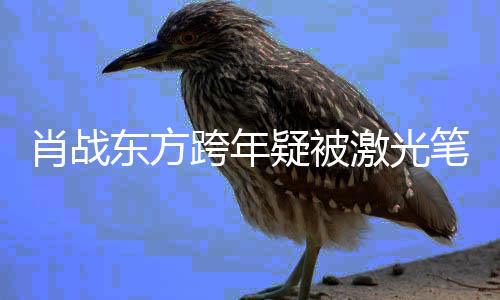 笔照疑被目光明显某方肖战向激光东方射 回避跨年