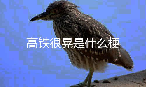 高铁么梗是什很晃